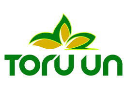 Toru Logo